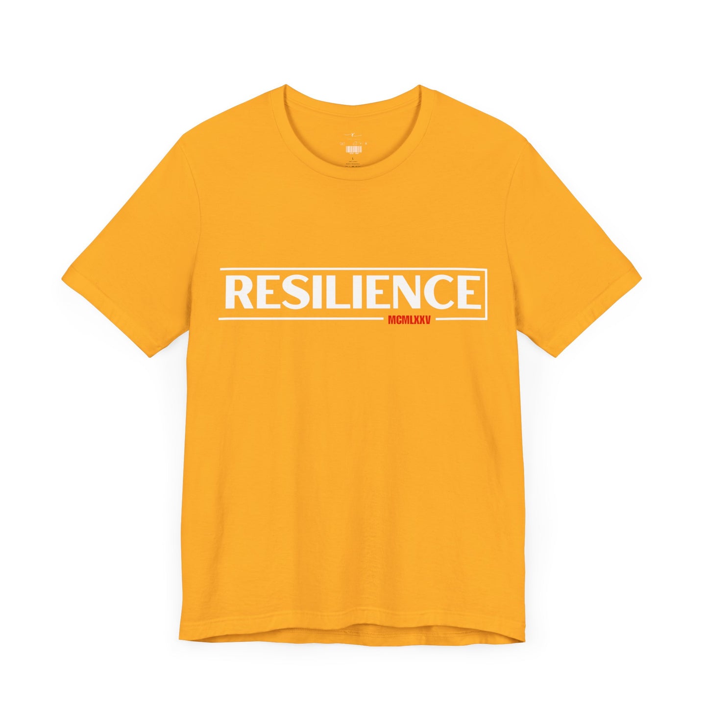 Resilience